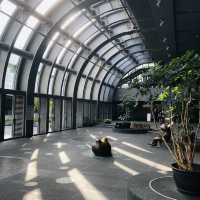寶可夢迷快來💙💛 Daan Forest Park 大安森林公園