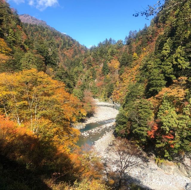 楓葉絕景