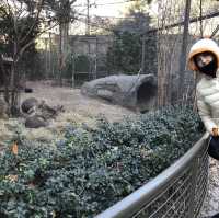 เที่ยว Central Park Zoo กัน