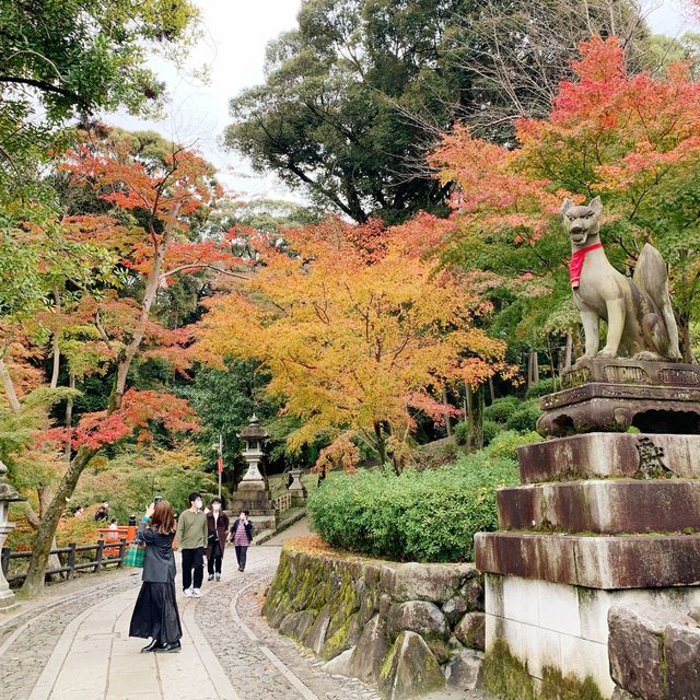 #京都親子遊｜著名景點「千鳥居」