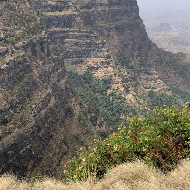 Wandering through the Wild African North.