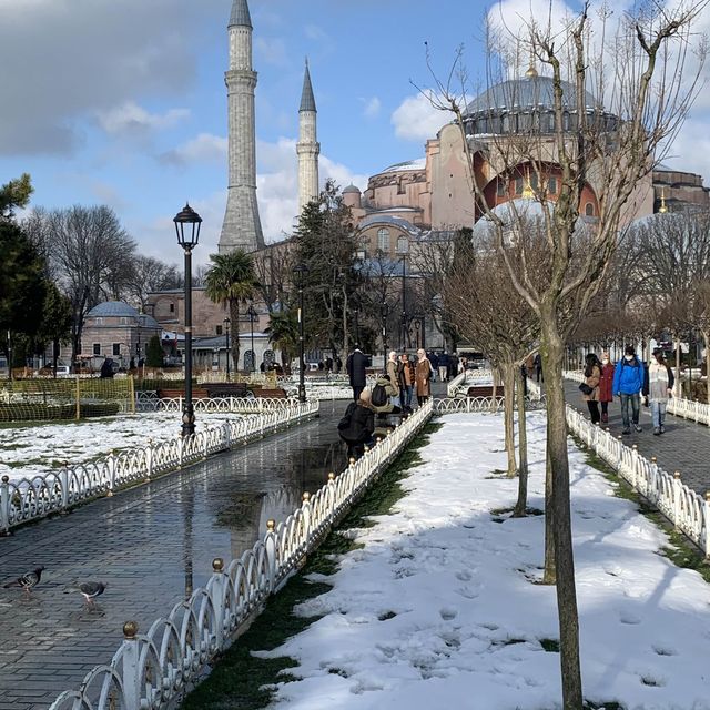 Istanbul Turkey features the Blue mosque.