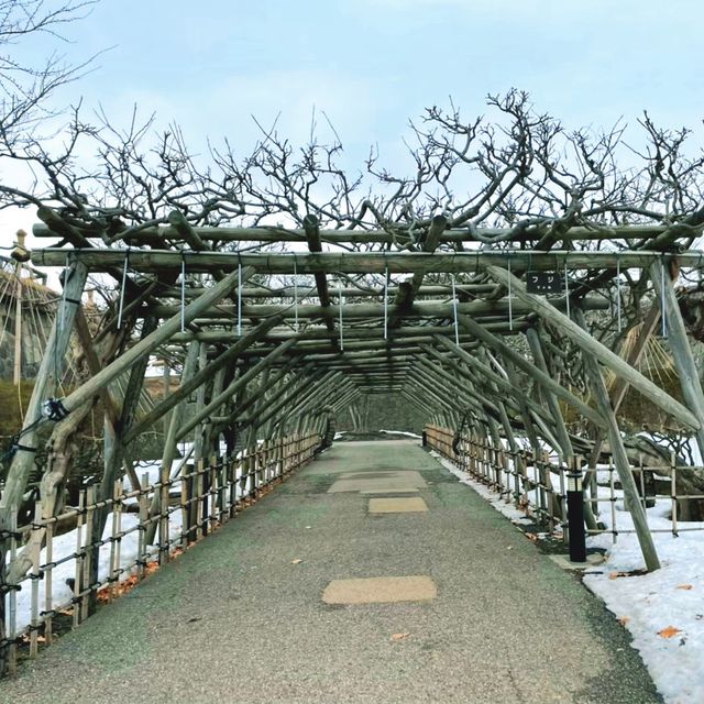 【北海道:函館】冬の五稜郭を散策！