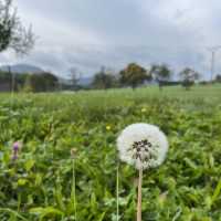 Balingen : Beautiful place among the nature