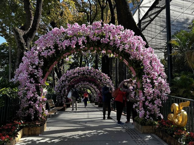 本地遊 | 香港動植物公園 | 必影蝴蝶蘭花廊