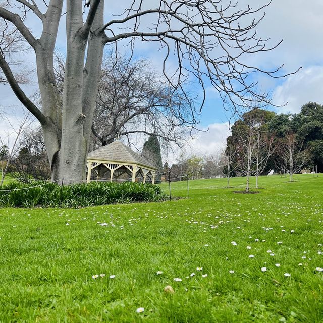 Experience cool climate Garden in Hobart🧚‍♂️