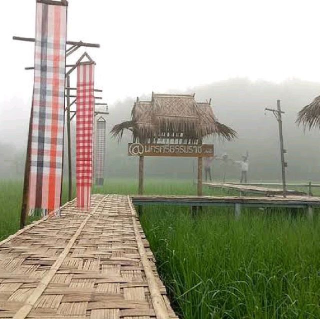 ไร่เกษมสุข Organic Farm