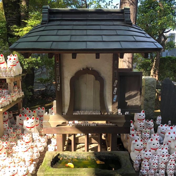 滿滿招財貓🐱日本必去豪徳寺
