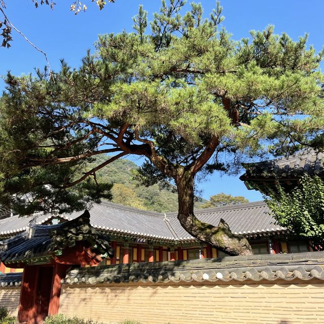 고즈넉한 아름다움이 느껴지는 백양사 ᴗ̈ 
