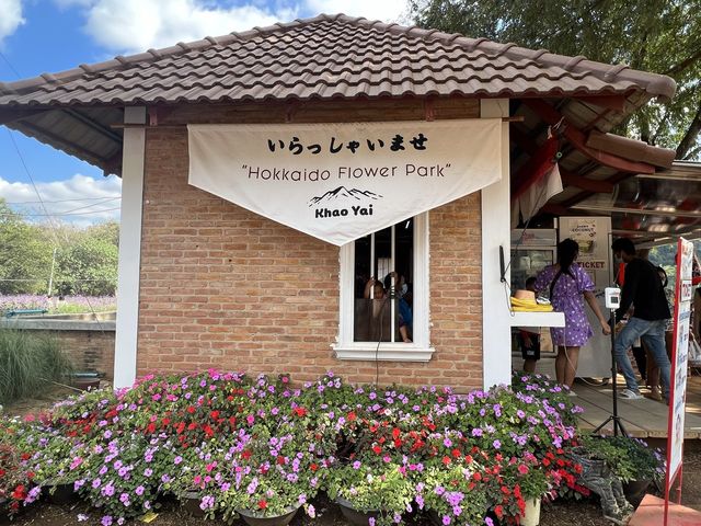 ชมสวนดอกไม้ที่ Hokkaido Flower Park  Khaoyai 