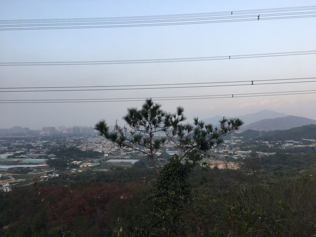 新手行山路線—千島湖清景台➡️黃泥墩水塘