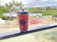 549 Resort & Cafe’