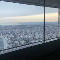 【神奈川】横浜ランドマーク展望台からの絶景✨