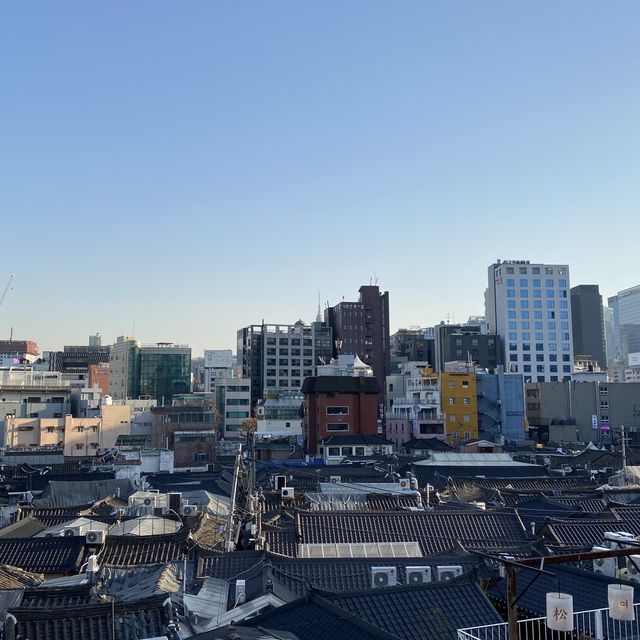 광합성하기 좋은, 익선동 루프탑 카페☕️
