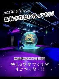 【兵庫】映えすぎる最新水族館『atoa』潜入レポ