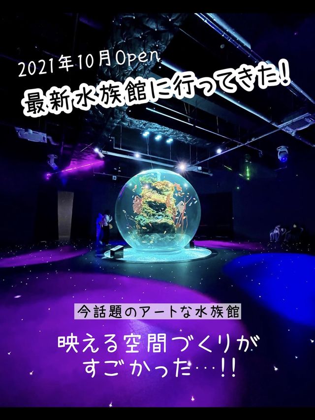 【兵庫】映えすぎる最新水族館『atoa』潜入レポ