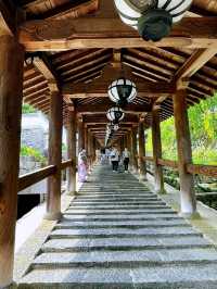 「長谷寺」の「紫陽花回廊」in 奈良