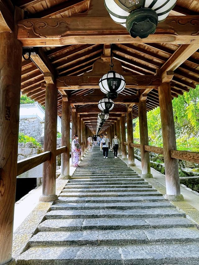 「長谷寺」の「紫陽花回廊」in 奈良