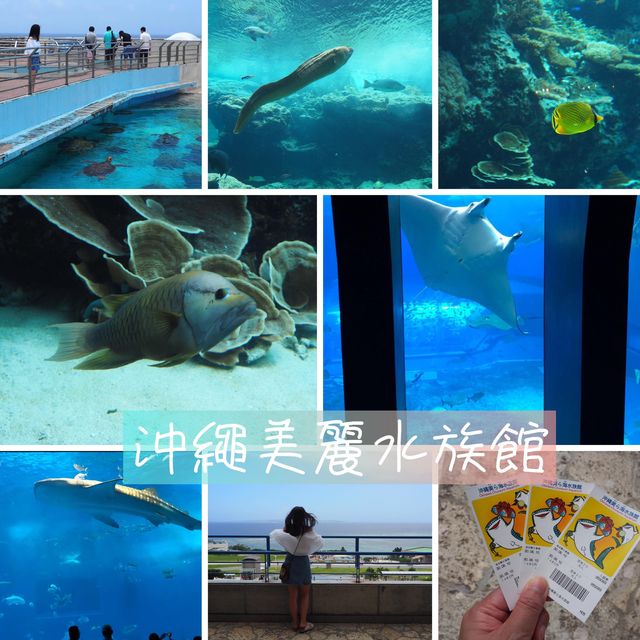 美麗海水族館🔱🔱沖繩最大最受歡迎👏🏻水族館😍海天一色