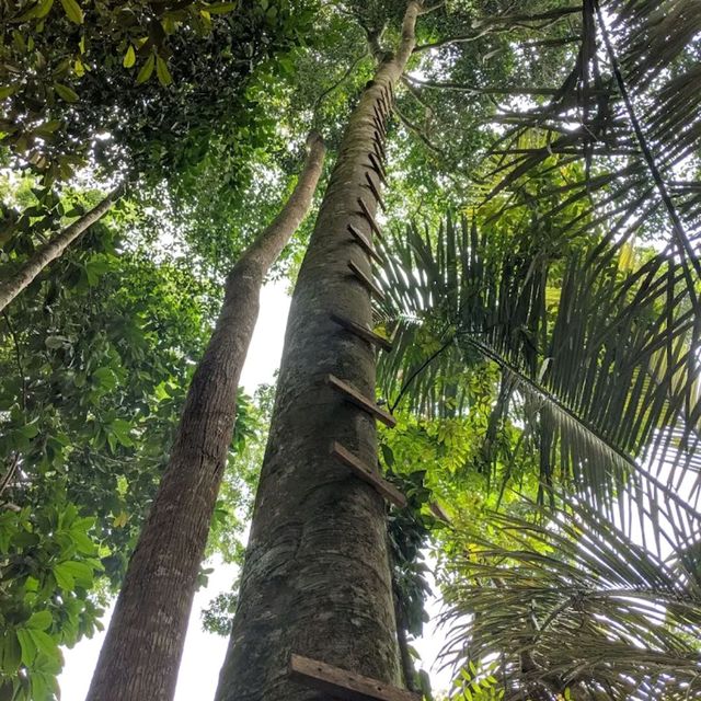 The Nahara Kalumpang 