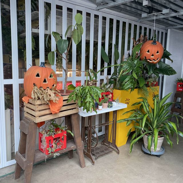 🎃 👻 感受萬聖節氣氛好去處 — 南豐紗廠