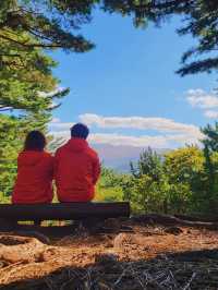 한라수목원 🌲 제주도 가을 피크닉