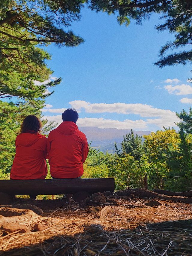 한라수목원 🌲 제주도 가을 피크닉