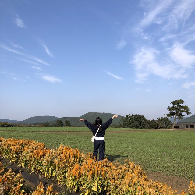 동화 속 같은 “보롬왓”