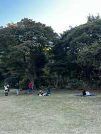 도쿄 신주쿠 도심속의 오아시스!🏞️ 신주쿠 교엔