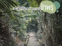เดินชมยอดไม้ ที่สวนพฤกษศาสตร์ทุ่งค่าย
