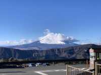 The city overlooking Mt Fuji!