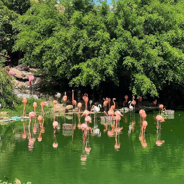 ชมความน่ารักของสัตว์โลกที่ King’s garden 