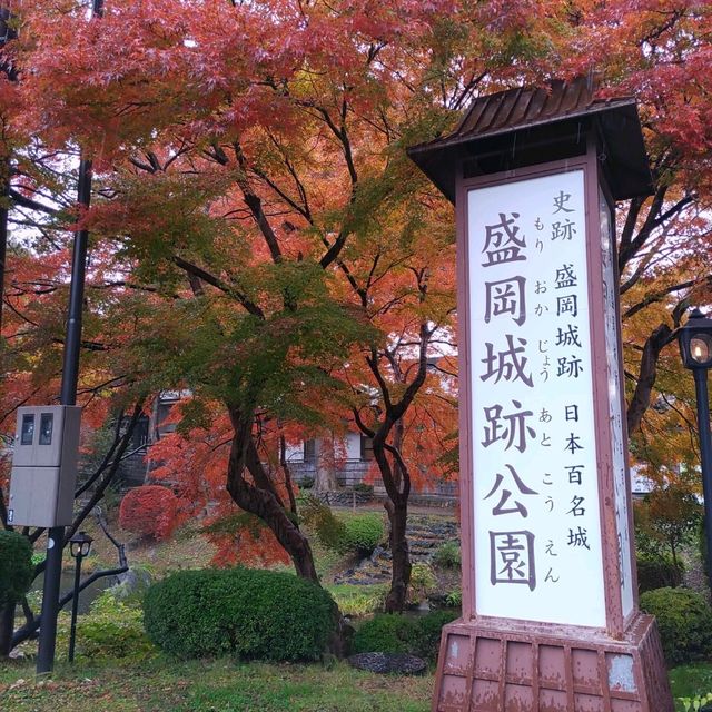 岩手県！盛岡城跡公園の紅葉