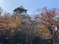 紅葉も映えます『大阪城』