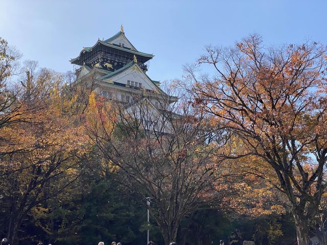 紅葉も映えます『大阪城』