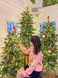 파라다이스시티의 매지컬크리스마스🎅🏻🎄