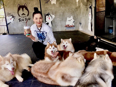 คาเฟ่น้องหมา น่ารักเกินต้าน | Trip.com ชลบุรี คาเฟ่น้องหมา น่ารักเกินต้าน | Trip.Com ชลบุรี