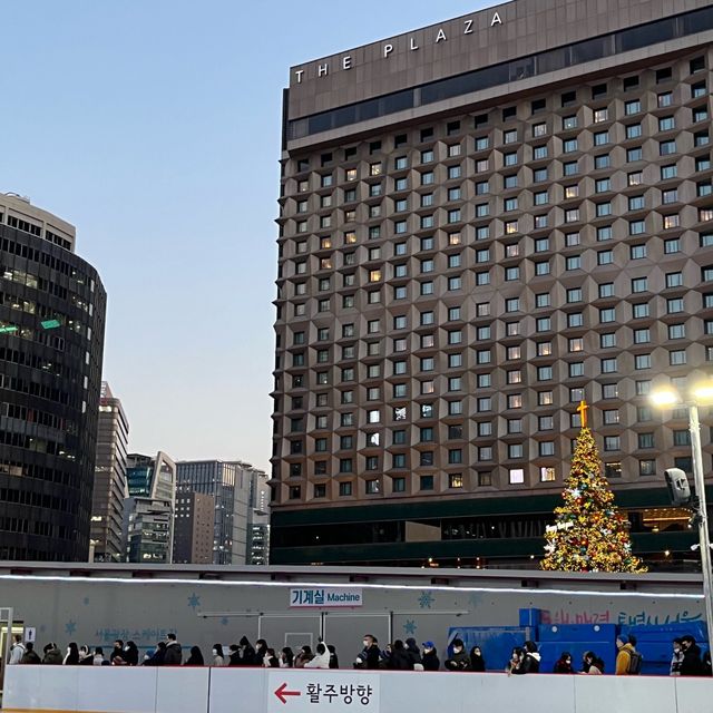 서울시청스케이트 광장