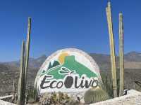 El Olivo🌵 Eco Olivo