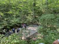 Domes and Dripstone Tour - Mammoth Cave