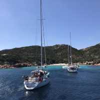 blue sardinia
