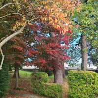 Fall Park