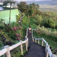 Mayon  Skyline in Tabacco