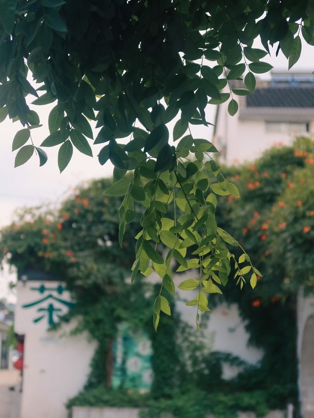 Qibao Ancient Town, Shanghai🏮