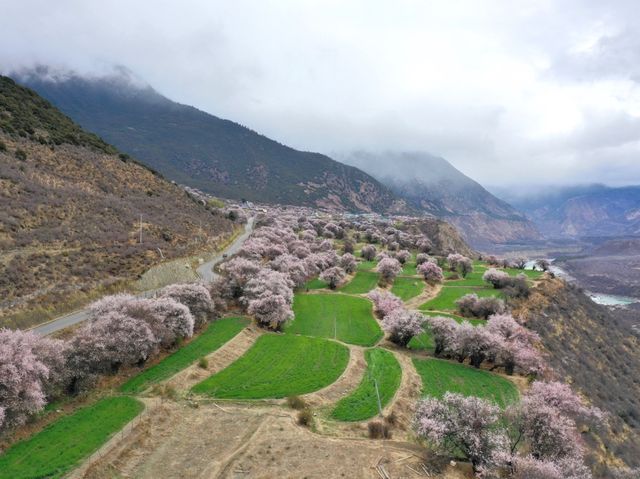 雅魯藏布江索松村