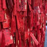 A visit to the Yu Garden 