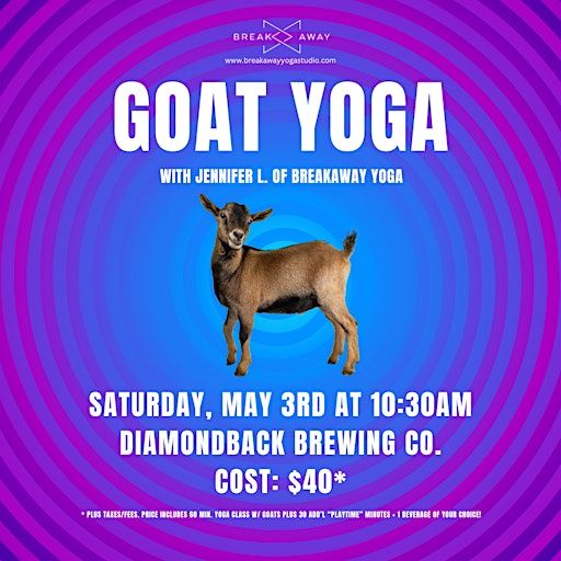 Goat Yoga at Diamondback Brewing Company | Diamondback Brewing Company