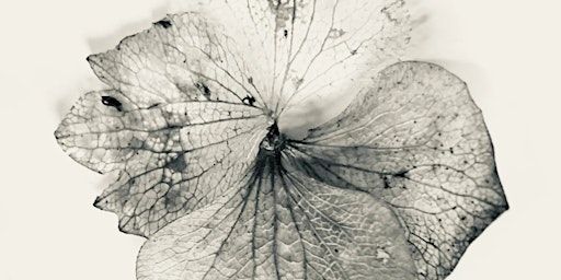 Soma | Inverleigh Public Hall