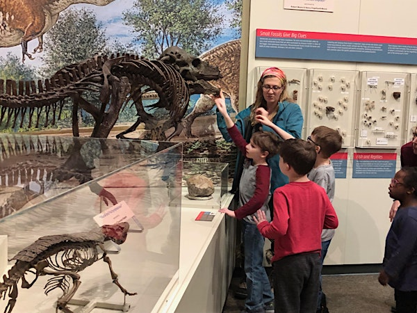 Dino Adventures: Wednesday Sessions | Burpee Museum of Natural History