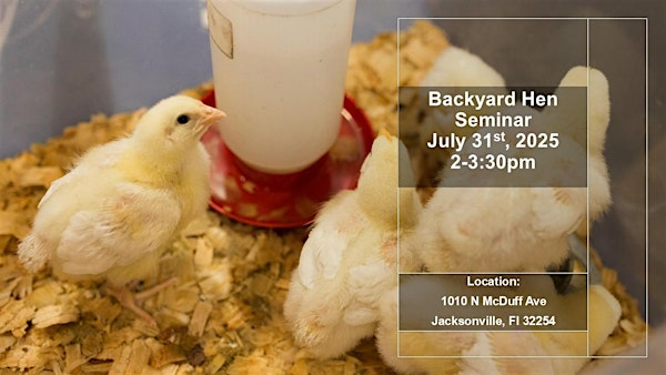 July Backyard Hen Training | UF IFAS Duval County Extension Office